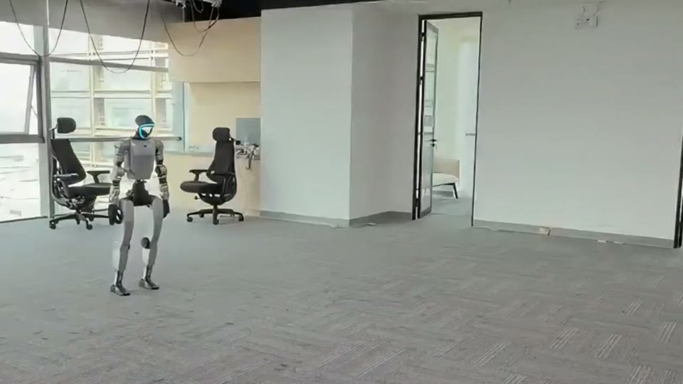 Mimiclite监督学习框架